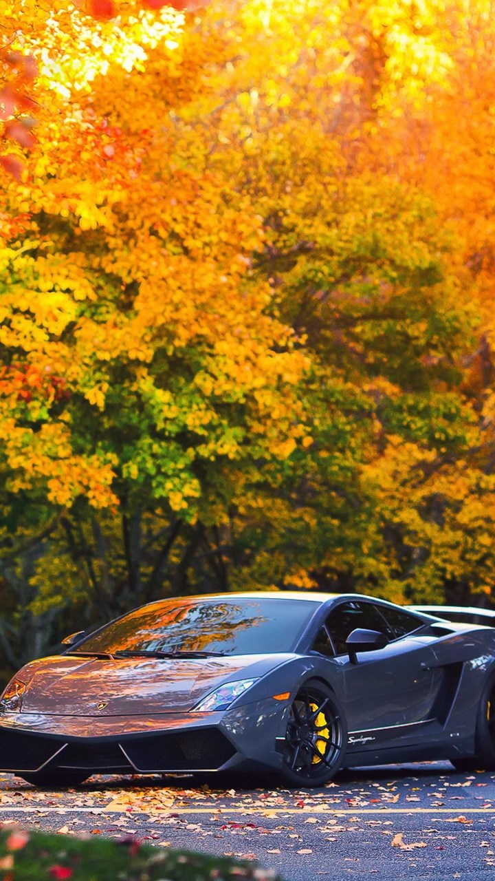 Los Mejores 25 Fondos de pantalla de Lamborghini - Wallpapers Links