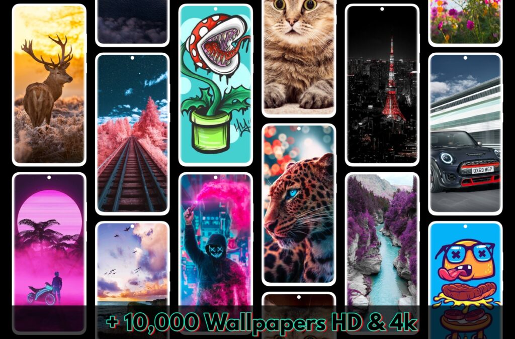 Top 100+ imagen fondos de pantalla wallpaper 